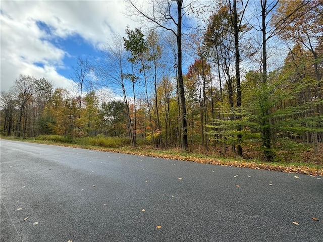 0 Town Line Rd, Butternuts, NY 13776