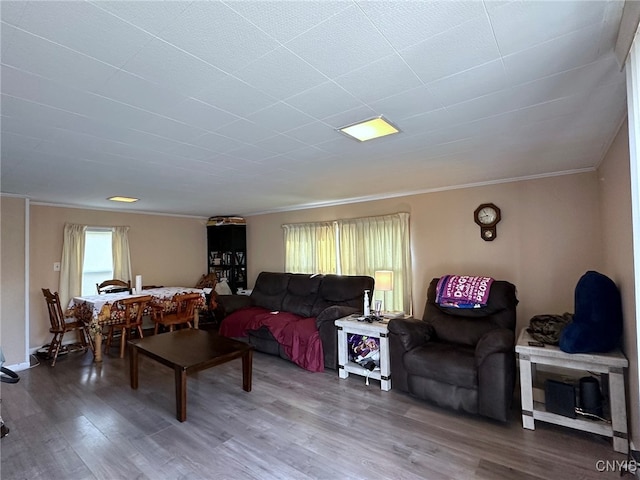 living room with ornamental molding and wood-type flooring