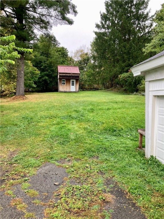 view of yard with a storage shed