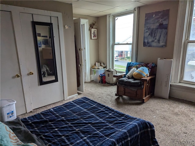 carpeted bedroom featuring a drop ceiling