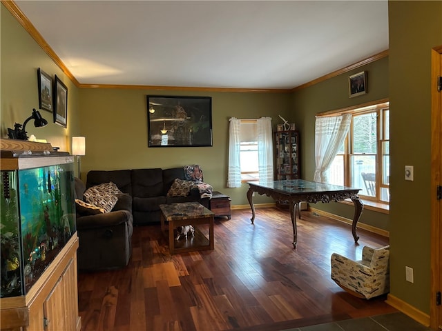 living room with ornamental molding and dark hardwood / wood-style floors