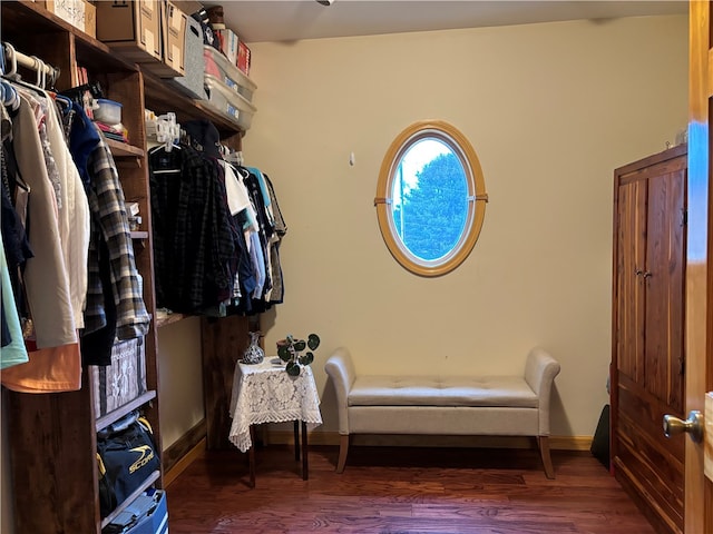 walk in closet with dark wood-type flooring