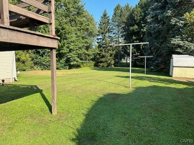 view of yard featuring a shed