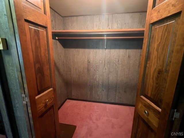 walk in closet with carpet floors