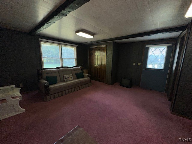 living room featuring carpet floors