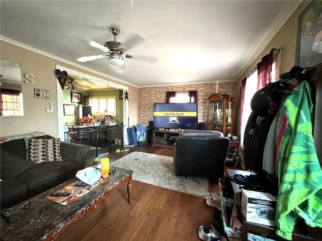 living room with a healthy amount of sunlight, crown molding, hardwood / wood-style floors, and ceiling fan