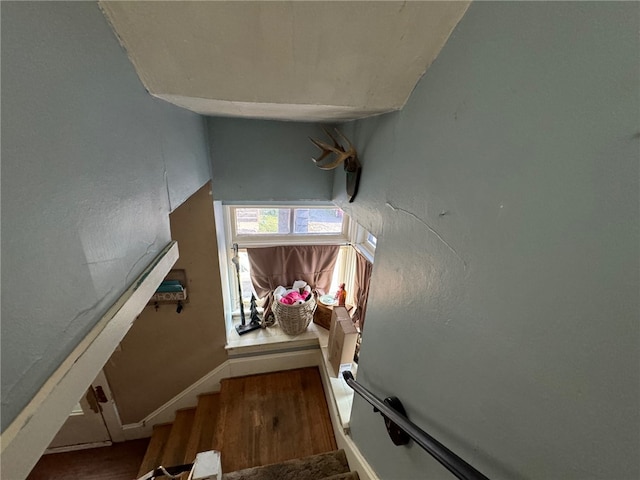 stairway with wood-type flooring