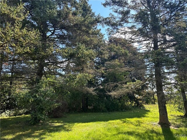26098 US Route 11th St, Le Ray, NY 13637 - photo 5