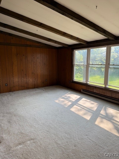 26098 US Route 11th St, Le Ray, NY 13637 - photo 19