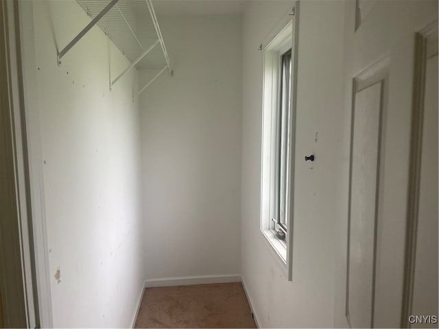 view of walk in closet