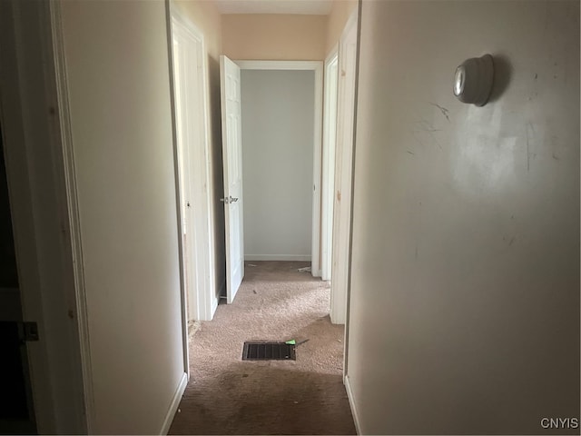 hallway with carpet