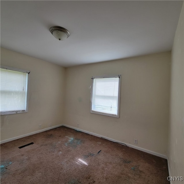 carpeted spare room with a wealth of natural light