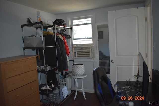 walk in closet featuring dark hardwood / wood-style flooring