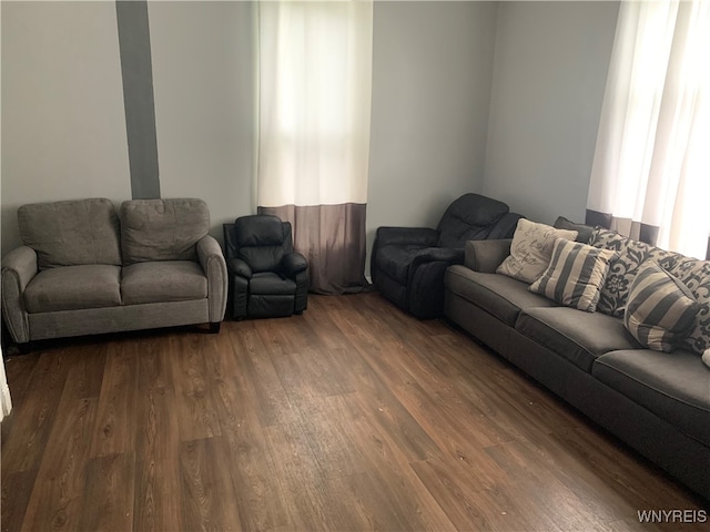 living room featuring dark hardwood / wood-style flooring