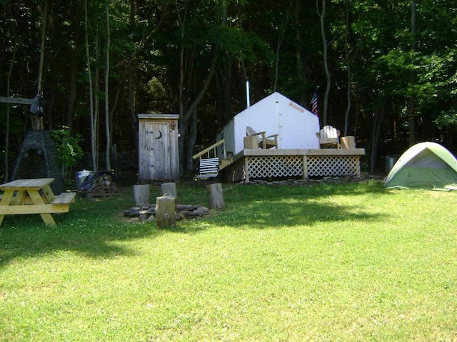 view of yard with a storage shed