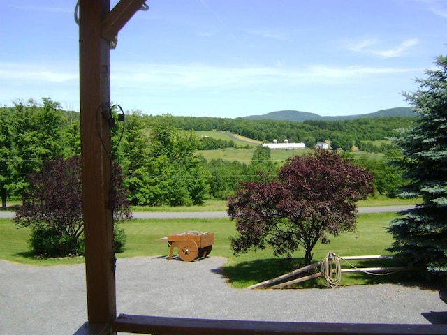 view of home's community with a mountain view and a yard