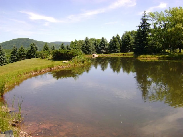 water view featuring a mountain view