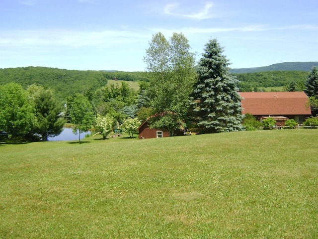 view of yard featuring a water and mountain view