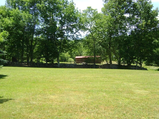 1187 Lower Meeker Hollow Rd, Roxbury, NY 12474 - photo 30