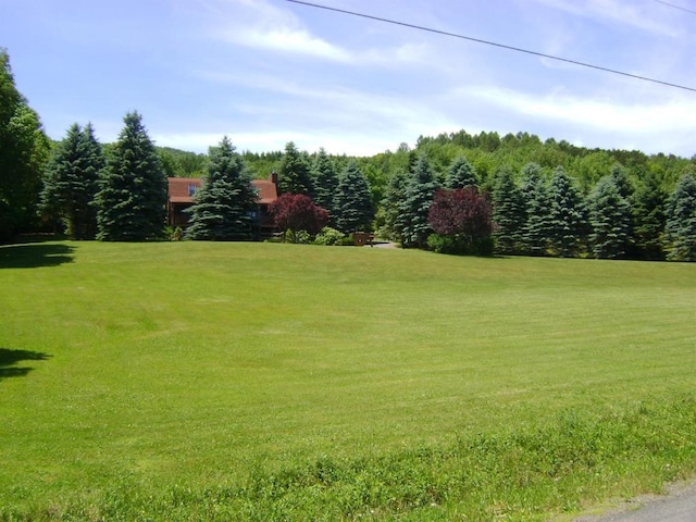 1187 Lower Meeker Hollow Rd, Roxbury, NY 12474 - photo 12