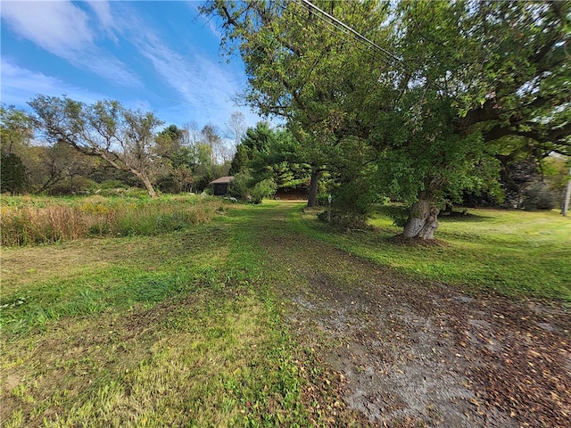 view of yard