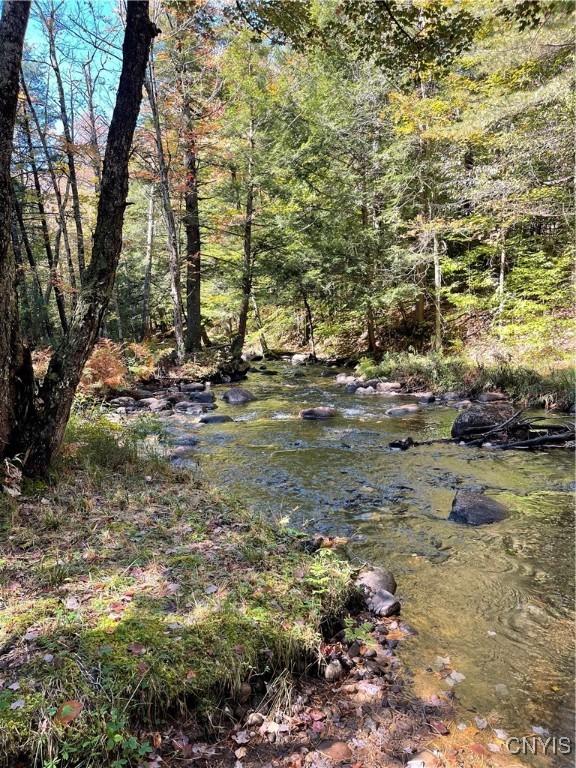 10663 Hawkinsville Rd, Forestport, NY 13494 - photo 15