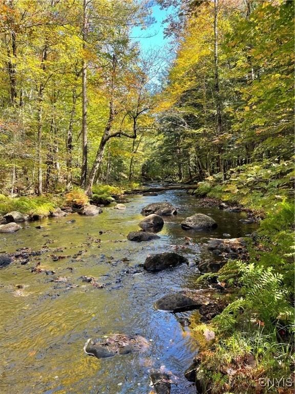 view of local wilderness