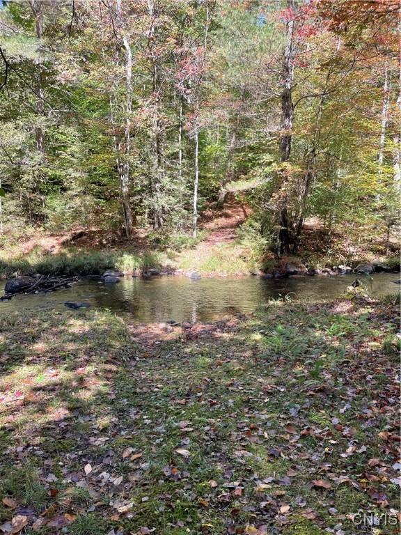 10663 Hawkinsville Rd, Forestport, NY 13494 - photo 17