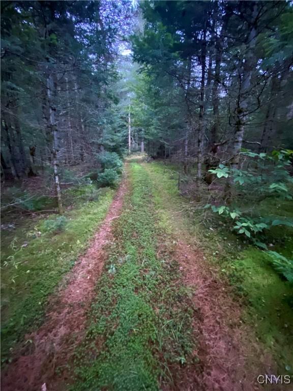 10663 Hawkinsville Rd, Forestport, NY 13494 - photo 19