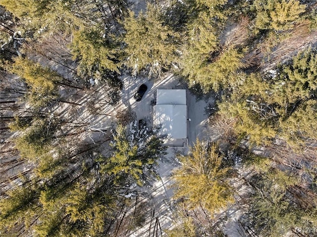 10663 Hawkinsville Rd, Forestport, NY 13494 - photo 25