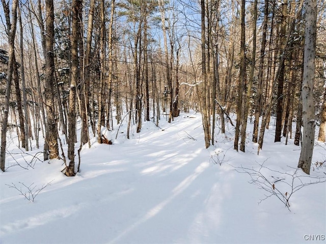 view of yard covered in snow