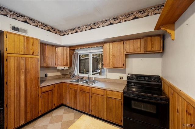 kitchen with wooden walls, sink, and black electric range