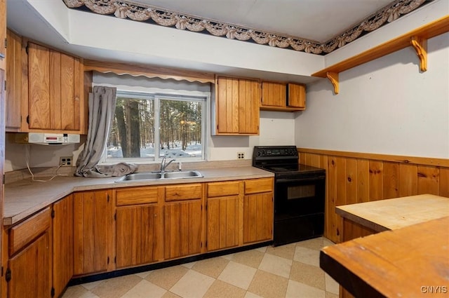 kitchen with black range with electric cooktop, sink, and wood walls