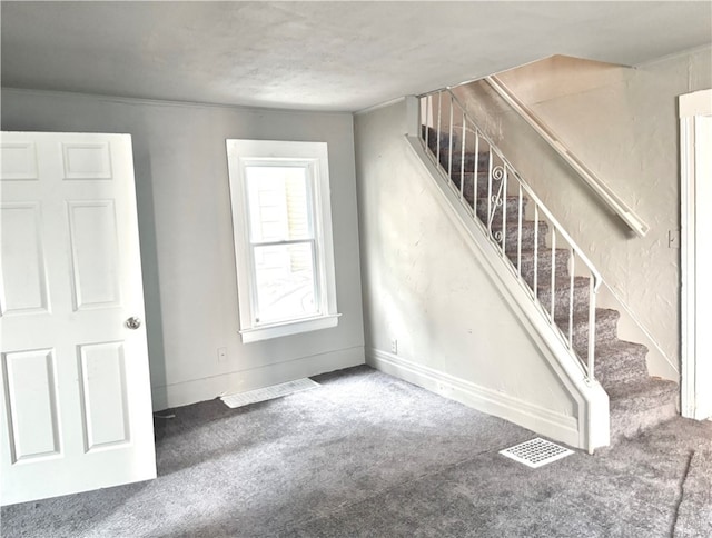 stairs with carpet floors