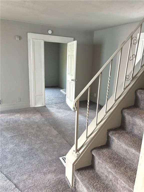 staircase featuring carpet