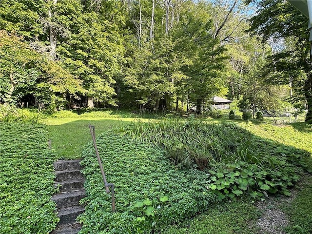 247 W Corydon St, Bradford-Town, PA 16701 - view of yard