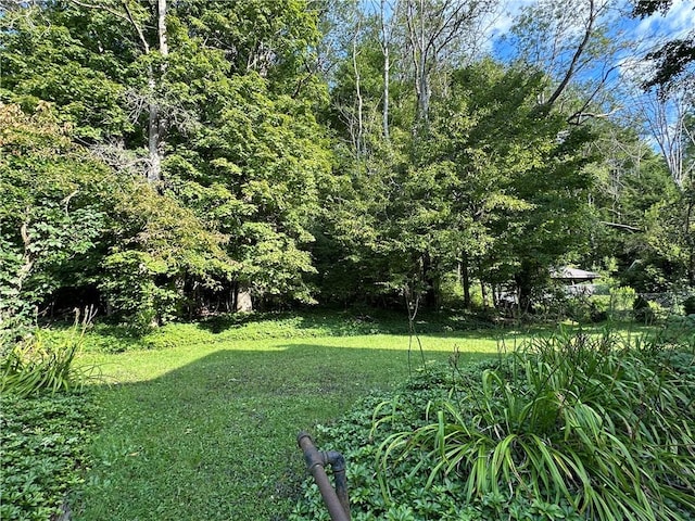 247 W Corydon St, Bradford-Town, PA 16701 - view of yard