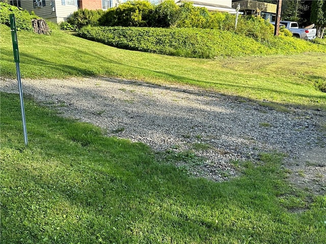 view of home's community with a lawn