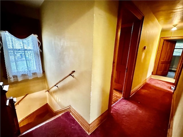 247 W Corydon St, Bradford-Town, PA 16701 - stairs with baseboards and carpet flooring