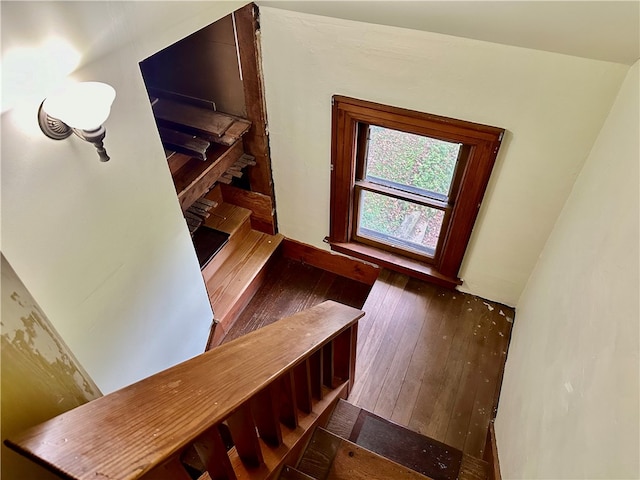 staircase with wood-type flooring