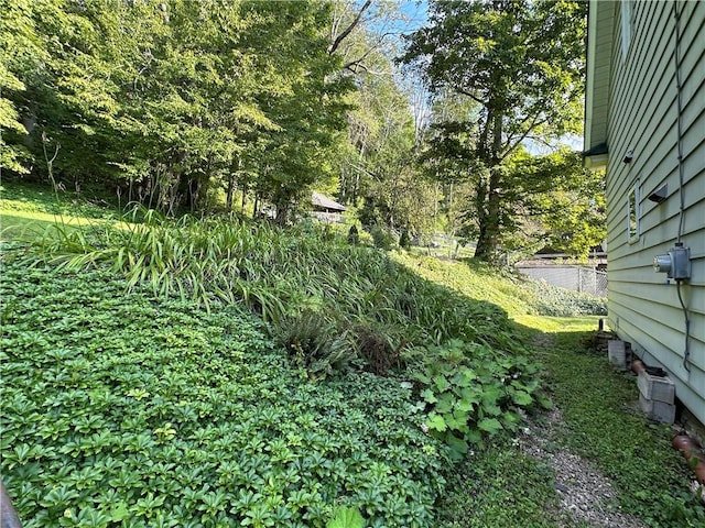 247 W Corydon St, Bradford-Town, PA 16701 - view of yard