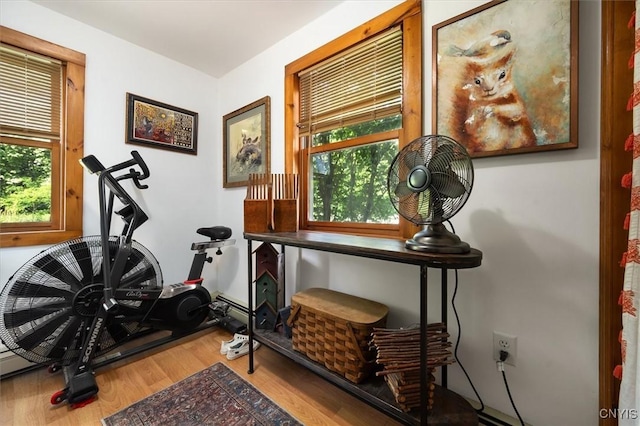 exercise room featuring wood-type flooring