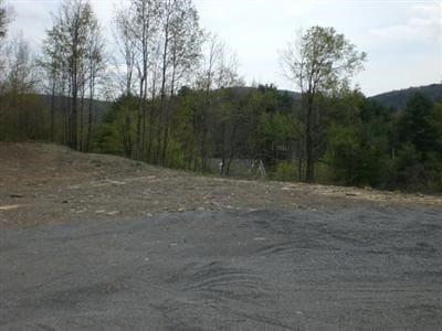 Listing photo 2 for LOT13 Maplecrest Way, Otego NY 13825