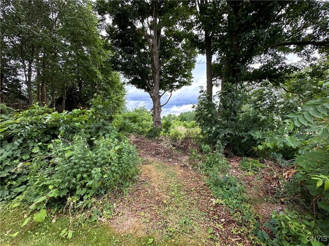 0000 Richmond Rd E, Manlius, NY 13104 - photo 4