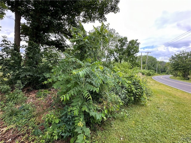 0000 Richmond Rd E, Manlius, NY 13104 - photo 5