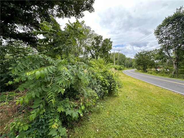 0000 Richmond Rd E, Manlius, NY 13104 - photo 6