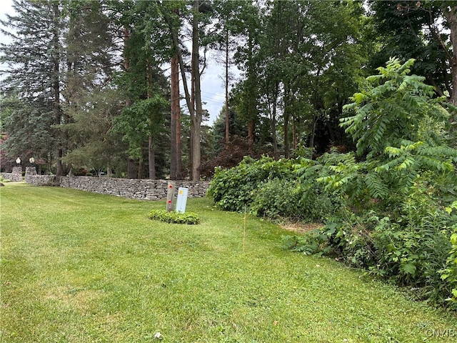 0000 Richmond Rd E, Manlius, NY 13104 - photo 11
