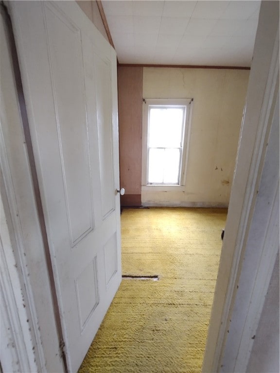 hallway featuring light carpet