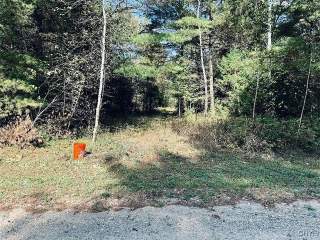 94 Evergreen Ln, Pitcairn NY, 13648 land for sale