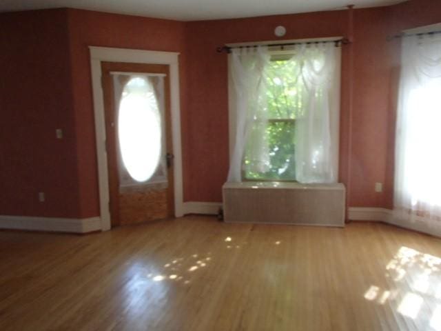 foyer entrance featuring baseboards, wood finished floors, and a wealth of natural light